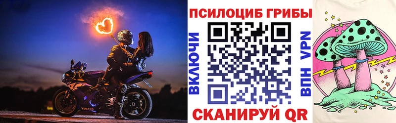 Галлюциногенные грибы Psilocybine cubensis  Старый Оскол 